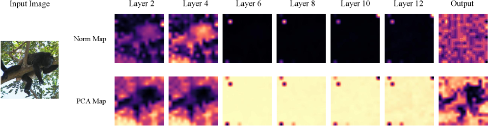 Taming Outlier Tokens in Diffusion Transformers Figure 1