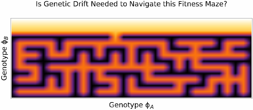 Direct From Darwin: Deriving Advanced Optimizers From Evolutionary First Principles Figure 1