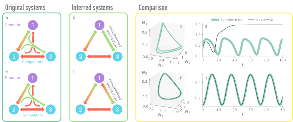 Higher-order interactions in ecology can be hidden in plain sight Figure 2