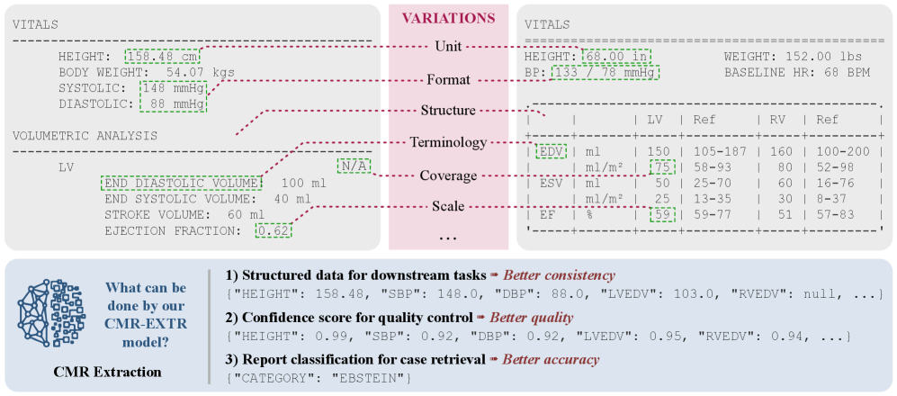 Uncertainty-Aware Structured Data Extraction from Full CMR Reports via Distilled LLMs Figure 1