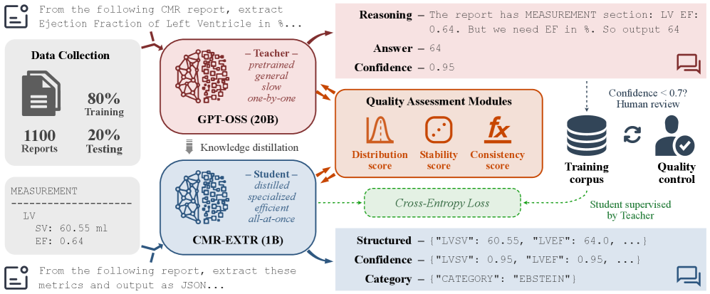 Uncertainty-Aware Structured Data Extraction from Full CMR Reports via Distilled LLMs Figure 2